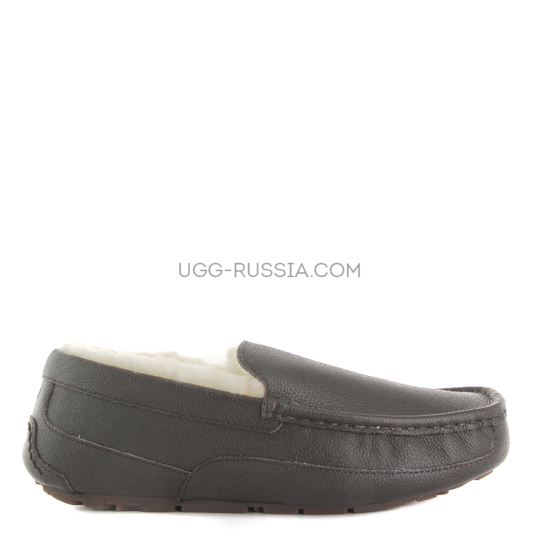 UGG MENS Ascot Metallic Chocolate