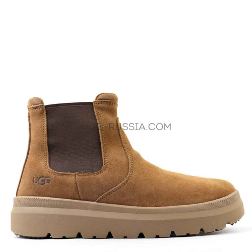 Men's  Burleigh Chelsea Chestnut