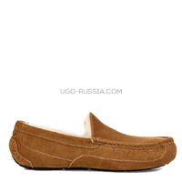MENS Ascot Chestnut
