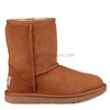 Детские UGG Classic детские: обзор и выбор размера