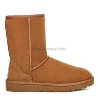 Classic Short Chestnut