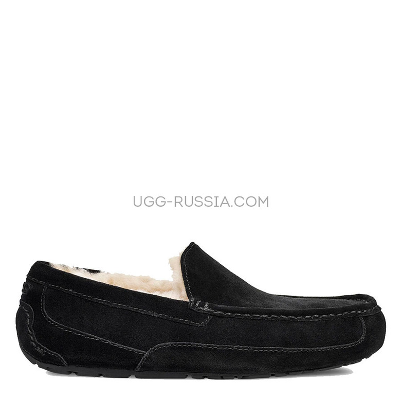 UGG MENS Ascot Black