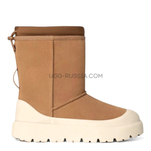 Mens Classic Short Weather Hybrid Chestnut
