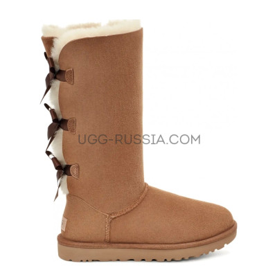 Bailey Bow Tall Chestnut