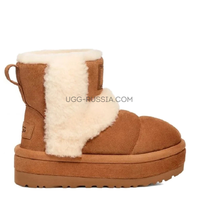 Classic Chillapeak Chestnut