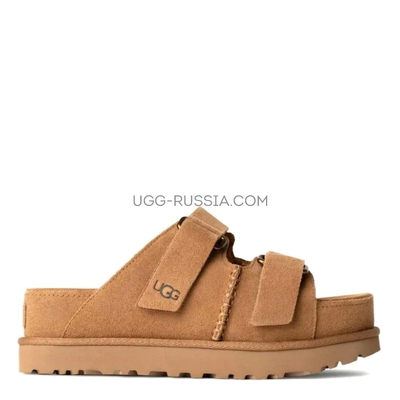 Goldenstar Slide Chestnut