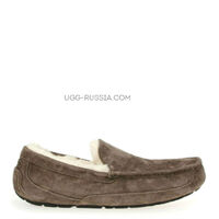 MENS Ascot Chocolate