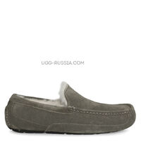 MENS Ascot Grey