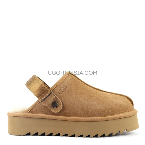 Goldenstar Clog Platform Chestnut
