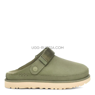 Goldenstar Clog Shaded Clover