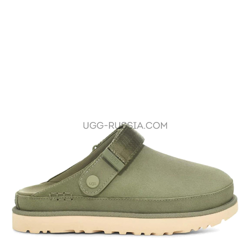 Goldenstar Clog Shaded Clover