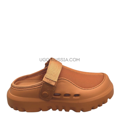 Colour Dark Apricot