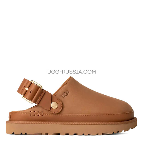 Goldenstar Clog Chestnut