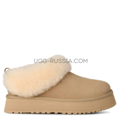 Platform Tazelle Mustard Seed