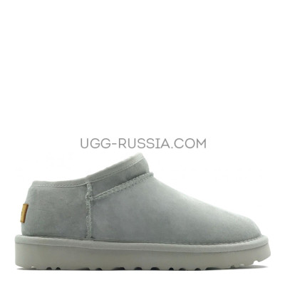 Tasman Grey Violet