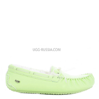 Dakota Candy Night Green