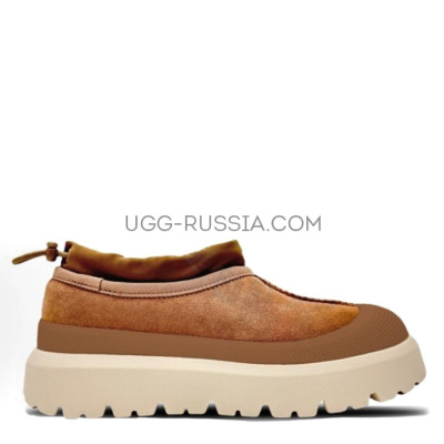 Mens Tasman Hybrid А-3