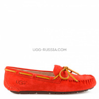 Dakota Red Summer
