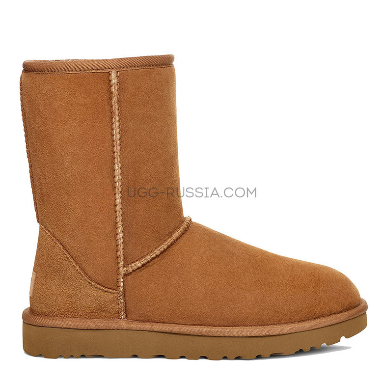 UGG Classic Short Chestnut — чистка без разводов
