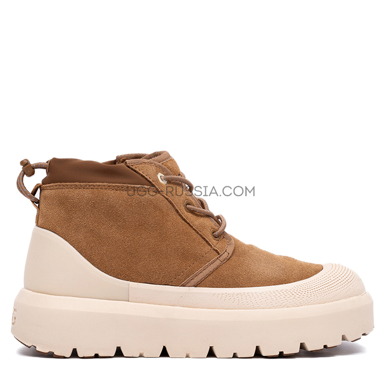 UGG Neumel Hybrid Chestnut Whitecap — Угги Neumel каштановые (Chestnut): с чем носить