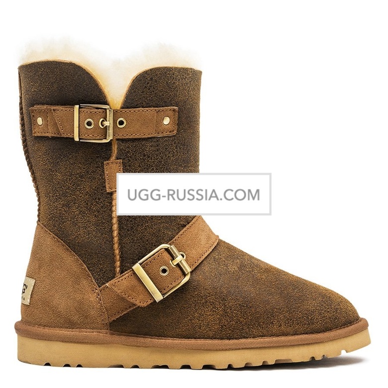 UGG Classic Short Dylyn Bomber Chestnut