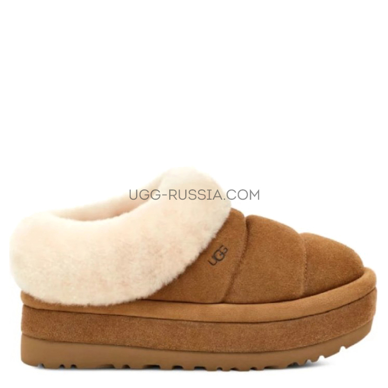 UGG Tazzlita Chestnut — Угги Tazz в университет: подойдут ли и с чем носить